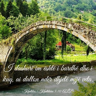 Picture 03 - Kantiku i Kantikëve 5:10 ALB - I dashuri im është i bardhë dhe i kuq, ai - Bible Verse Picture