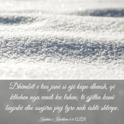 Picture 03 - Kantiku i Kantikëve 6:6 ALB - Dhëmbët e tua janë si një kope dhensh, që - Bible Verse Picture