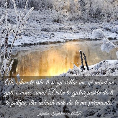 Picture 03 - Kantiku i Kantikëve 8:1 ALB - Ah, sikur të ishe ti si një vëllai im, që - Bible Verse Picture