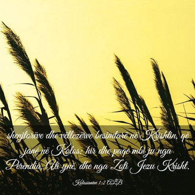 Picture 03 - Kolosianëve 1:2 ALB - shenjtorëve dhe vëllezërve besimtarë në - Bible Verse Picture