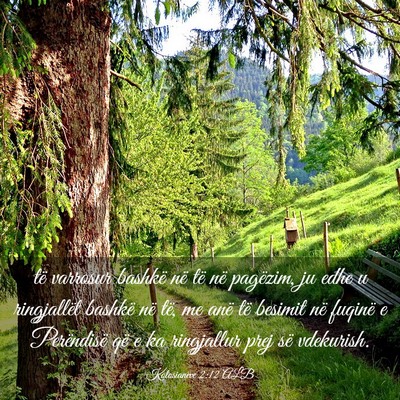 Picture 03 - Kolosianëve 2:12 ALB - të varrosur bashkë në të në pagëzim, ju - Bible Verse Picture