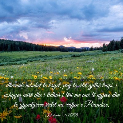 Picture 03 - Kolosianëve 2:19 ALB - dhe nuk mbahet te kryet, prej të cilit gjithë - Bible Verse Picture