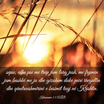 Picture 03 - Kolosianëve 2:5 ALB - sepse, edhe pse me trup jam larg jush, me frymën - Bible Verse Picture
