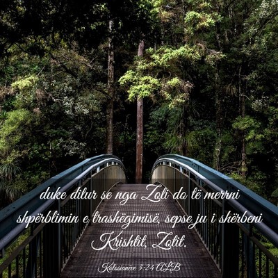 Picture 03 - Kolosianëve 3:24 ALB - duke ditur se nga Zoti do të merrni shpërblimin - Bible Verse Picture