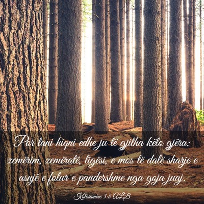 Picture 03 - Kolosianëve 3:8 ALB - Por tani hiqni edhe ju të gjitha këto gjëra: - Bible Verse Picture