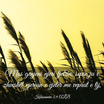 Picture 03 - Kolosianëve 3:9 ALB - Mos gënjeni njeri tjetrin, sepse ju e zhveshët - Bible Verse Picture