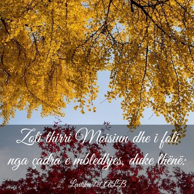 Picture 03 - Levitiku 1:1 ALB - Zoti thirri Moisiun dhe i foli nga çadra e - Bible Verse Picture