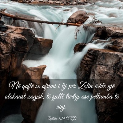 Picture 03 - Levitiku 1:14 ALB - Në qoftë se ofrimi i tij për Zotin është - Bible Verse Picture