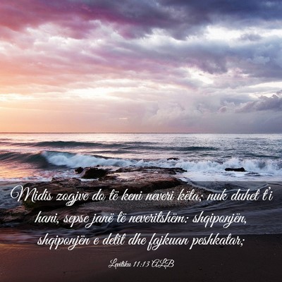 Picture 03 - Levitiku 11:13 ALB - Midis zogjve do të keni neveri këta; nuk duhet - Bible Verse Picture