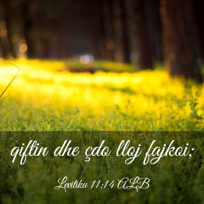 Picture 03 - Levitiku 11:14 ALB - qiftin dhe çdo lloj - Bible Verse Picture
