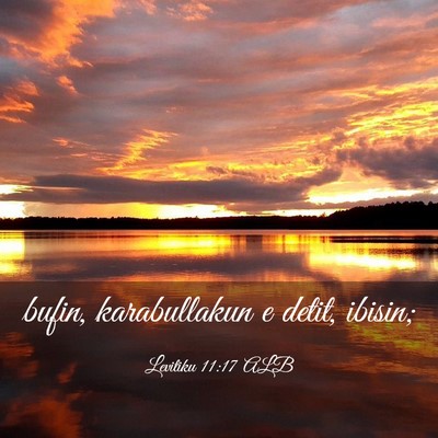Picture 03 - Levitiku 11:17 ALB - bufin, karabullakun e detit, - Bible Verse Picture