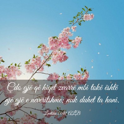 Picture 03 - Levitiku 11:41 ALB - Çdo gjë që hiqet zvarrë mbi tokë është - Bible Verse Picture