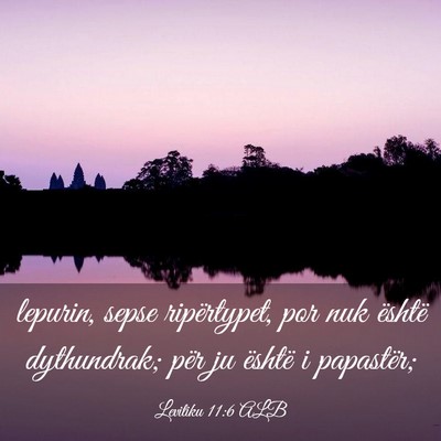 Picture 03 - Levitiku 11:6 ALB - lepurin, sepse ripërtypet, por nuk është - Bible Verse Picture