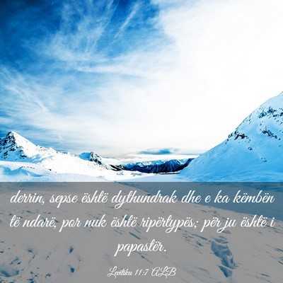 Picture 03 - Levitiku 11:7 ALB - derrin, sepse është dythundrak dhe e ka - Bible Verse Picture