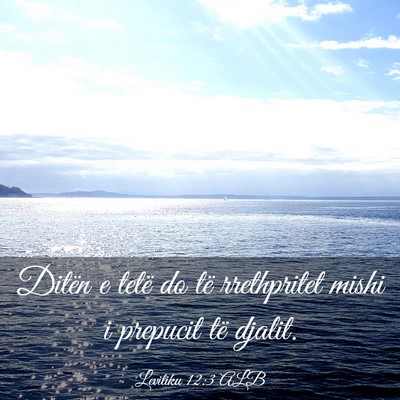 Picture 03 - Levitiku 12:3 ALB - Ditën e tetë do të rrethpritet mishi i - Bible Verse Picture