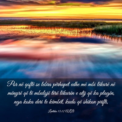 Picture 03 - Levitiku 13:12 ALB - Por në qoftë se lebra përhapet edhe më mbi - Bible Verse Picture