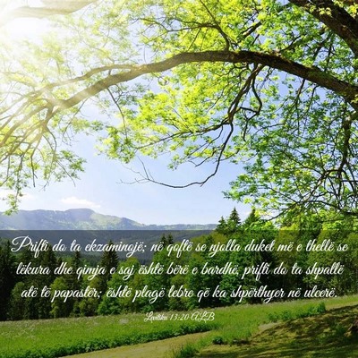 Picture 03 - Levitiku 13:20 ALB - Prifti do ta ekzaminojë; në qoftë se njolla - Bible Verse Picture