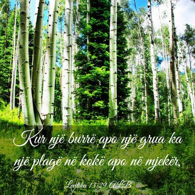 Picture 03 - Levitiku 13:29 ALB - Kur një burrë apo një grua ka një plagë në - Bible Verse Picture