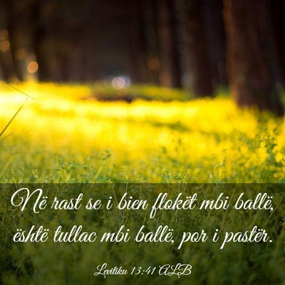 Picture 03 - Levitiku 13:41 ALB - Në rast se i bien flokët mbi ballë, është - Bible Verse Picture