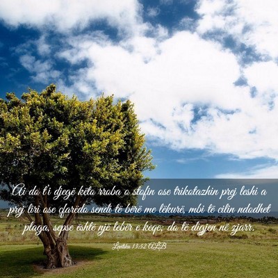 Picture 03 - Levitiku 13:52 ALB - Ai do t’i djegë këto rroba o stofin ose - Bible Verse Picture