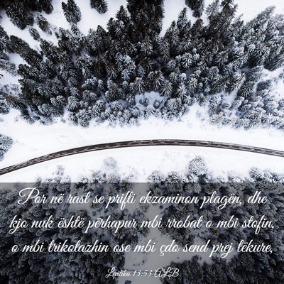 Picture 03 - Levitiku 13:53 ALB - Por në rast se prifti ekzaminon plagën, dhe kjo - Bible Verse Picture