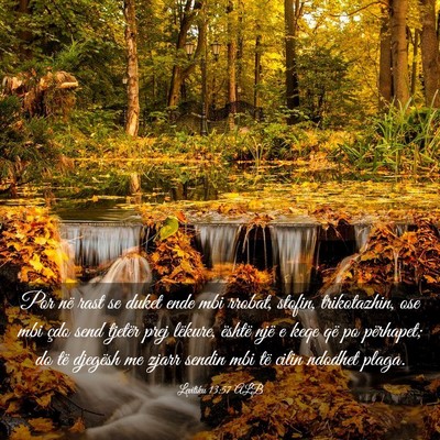 Picture 03 - Levitiku 13:57 ALB - Por në rast se duket ende mbi rrobat, stofin, - Bible Verse Picture
