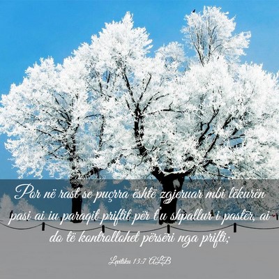 Picture 03 - Levitiku 13:7 ALB - Por në rast se puçrra është zgjeruar mbi - Bible Verse Picture