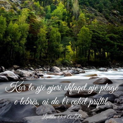 Picture 03 - Levitiku 13:9 ALB - Kur te një njeri shfaqet një plagë e lebrës, - Bible Verse Picture