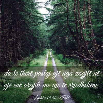 Picture 03 - Levitiku 14:50 ALB - do të therë pastaj një nga zogjtë në një - Bible Verse Picture