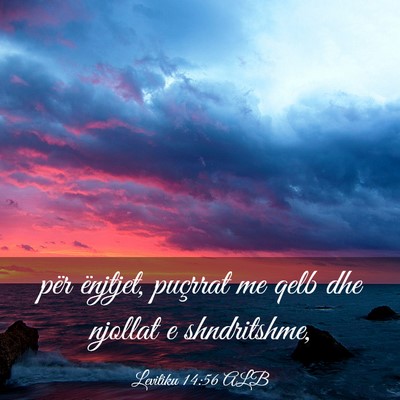 Picture 03 - Levitiku 14:56 ALB - për ënjtjet, puçrrat me qelb dhe njollat e - Bible Verse Picture