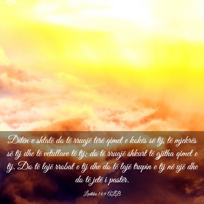 Picture 03 - Levitiku 14:9 ALB - Ditën e shtatë do të rruajë tërë qimet e - Bible Verse Picture