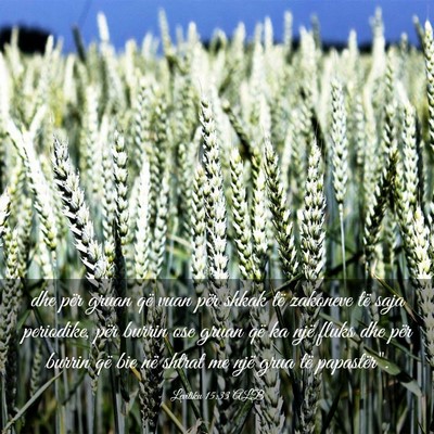Picture 03 - Levitiku 15:33 ALB - dhe për gruan që vuan për shkak të zakoneve - Bible Verse Picture