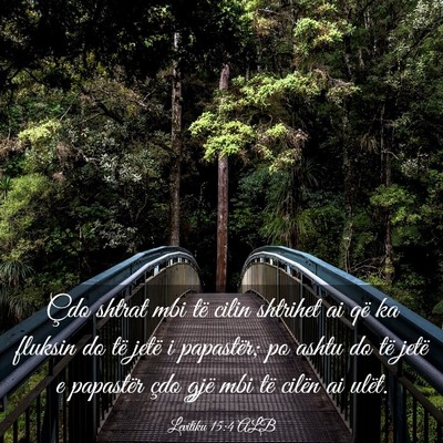 Picture 03 - Levitiku 15:4 ALB - Çdo shtrat mbi të cilin shtrihet ai që ka - Bible Verse Picture