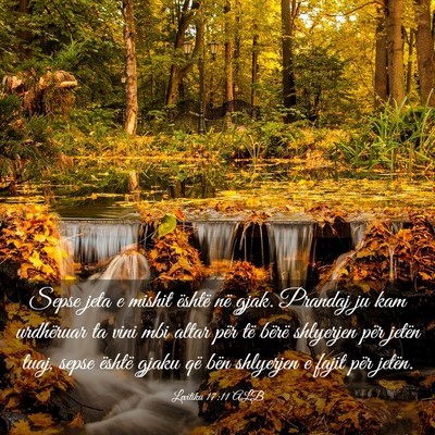 Picture 03 - Levitiku 17:11 ALB - Sepse jeta e mishit është në gjak. Prandaj ju - Bible Verse Picture