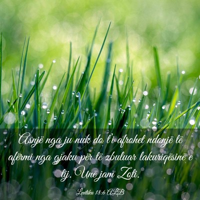 Picture 03 - Levitiku 18:6 ALB - Asnjë nga ju nuk do t’i afrohet ndonjë të - Bible Verse Picture