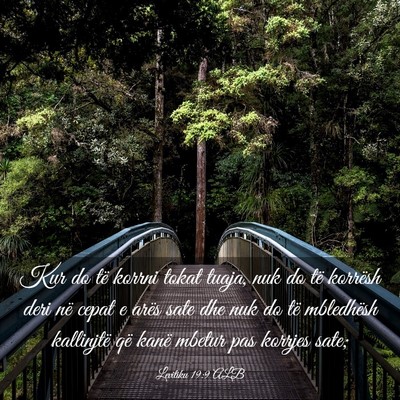 Picture 03 - Levitiku 19:9 ALB - Kur do të korrni tokat tuaja, nuk do të - Bible Verse Picture