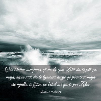 Picture 03 - Levitiku 2:11 ALB - Çdo blatim ushqimor që do t’i çoni Zotit do - Bible Verse Picture