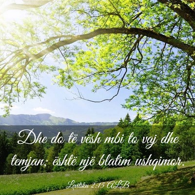 Picture 03 - Levitiku 2:15 ALB - Dhe do të vësh mbi to vaj dhe temjan; është - Bible Verse Picture