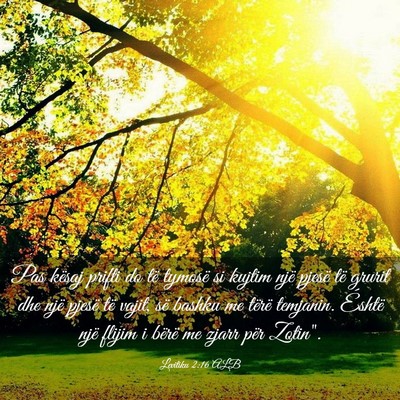Picture 03 - Levitiku 2:16 ALB - Pas kësaj prifti do të tymosë si kujtim një - Bible Verse Picture