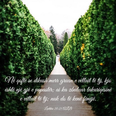 Picture 03 - Levitiku 20:21 ALB - Në qoftë se dikush merr gruan e vëllait të - Bible Verse Picture