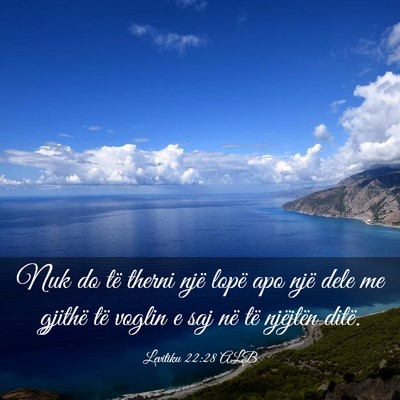 Picture 03 - Levitiku 22:28 ALB - Nuk do të therni një lopë apo një dele me - Bible Verse Picture