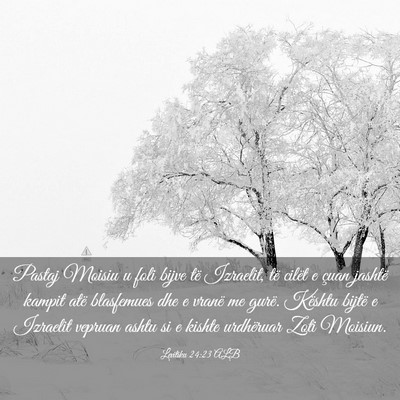 Picture 03 - Levitiku 24:23 ALB - Pastaj Moisiu u foli bijve të Izraelit, të - Bible Verse Picture