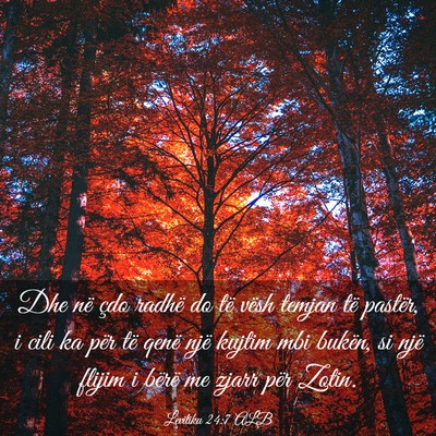 Picture 03 - Levitiku 24:7 ALB - Dhe në çdo radhë do të vësh temjan të - Bible Verse Picture