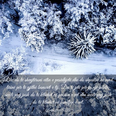 Picture 03 - Levitiku 25:10 ALB - Dhe do të shenjtëroni vitin e pesëdhjetë dhe - Bible Verse Picture
