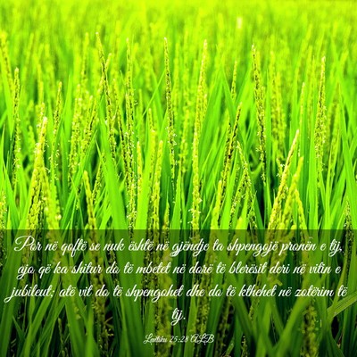 Picture 03 - Levitiku 25:28 ALB - Por në qoftë se nuk është në gjëndje ta - Bible Verse Picture
