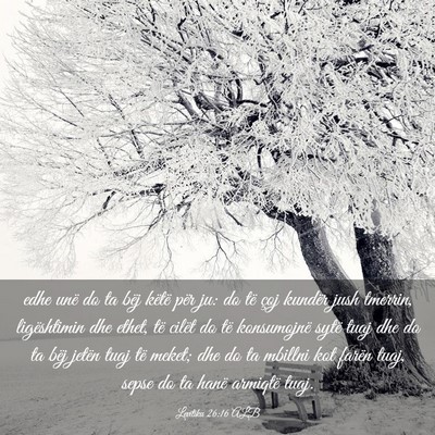 Picture 03 - Levitiku 26:16 ALB - edhe unë do ta bëj këtë për ju: do të çoj - Bible Verse Picture