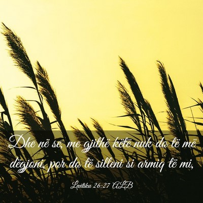 Picture 03 - Levitiku 26:27 ALB - Dhe në se, me gjithë këtë nuk do të më - Bible Verse Picture