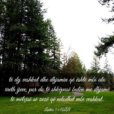 Picture 03 - Levitiku 3:4 ALB - të dy veshkat dhe dhjamin që është mbi ato - Bible Verse Picture