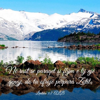 Picture 03 - Levitiku 3:7 ALB - Në rast se paraqet si flijm e tij një qengj, do - Bible Verse Picture
