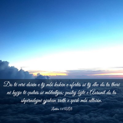 Picture 03 - Levitiku 3:8 ALB - Do të vërë dorën e tij mbi kokën e ofertës - Bible Verse Picture